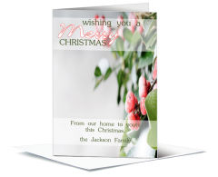 Christmas Snowy Holly Berries Cards  5.50